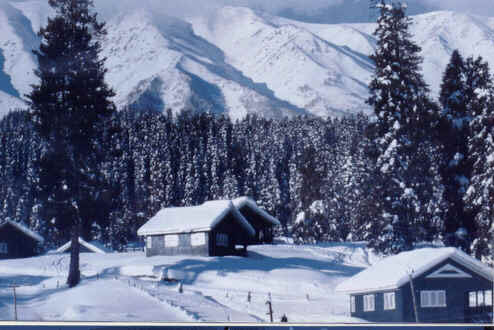 Snowy Gulmarg