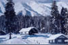Snowy Gulmarg